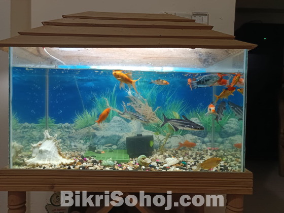Aquriam ৩০ ইঞ্চি / ১৫ ইঞ্চি